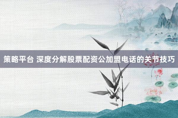 策略平台 深度分解股票配资公加盟电话的关节技巧