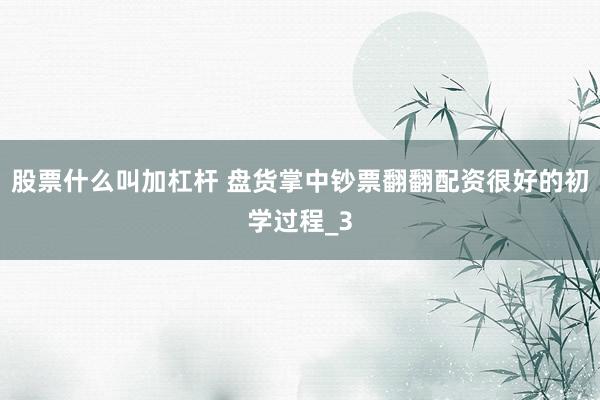 股票什么叫加杠杆 盘货掌中钞票翻翻配资很好的初学过程_3