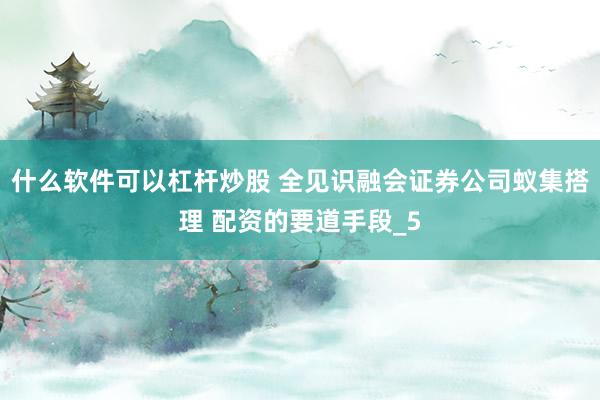 什么软件可以杠杆炒股 全见识融会证券公司蚁集搭理 配资的要道手段_5