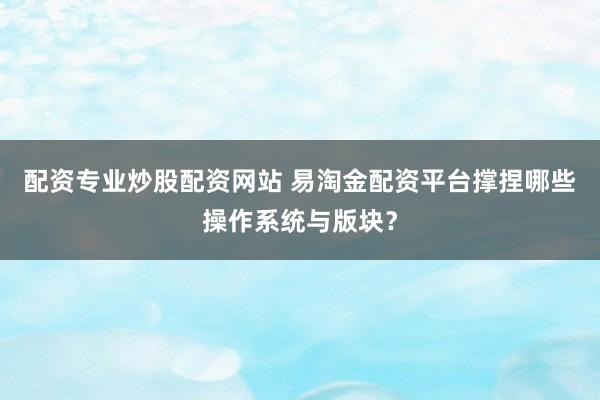 配资专业炒股配资网站 易淘金配资平台撑捏哪些操作系统与版块？