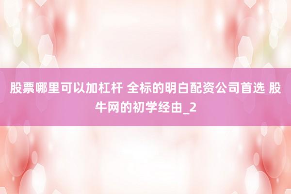 股票哪里可以加杠杆 全标的明白配资公司首选 股牛网的初学经由_2