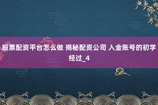 股票配资平台怎么做 揭秘配资公司 入金账号的初学经过_4
