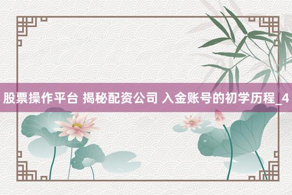 股票操作平台 揭秘配资公司 入金账号的初学历程_4