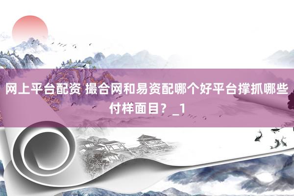 网上平台配资 撮合网和易资配哪个好平台撑抓哪些付样面目？_1