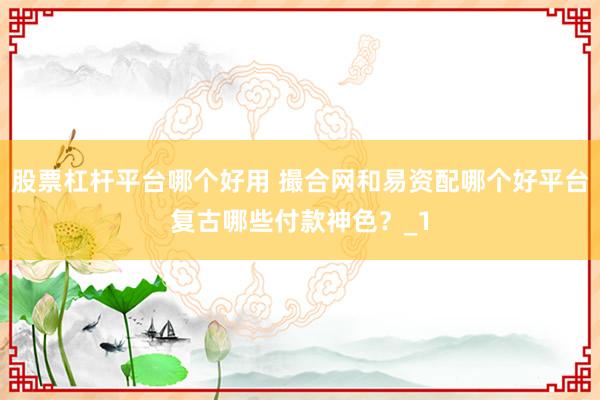 股票杠杆平台哪个好用 撮合网和易资配哪个好平台复古哪些付款神色？_1