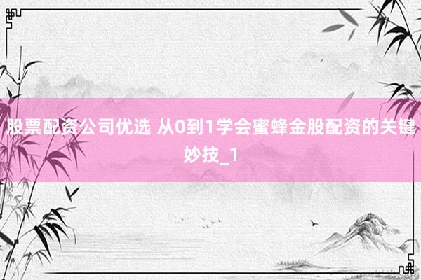 股票配资公司优选 从0到1学会蜜蜂金股配资的关键妙技_1