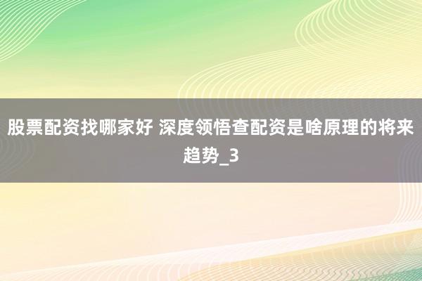 股票配资找哪家好 深度领悟查配资是啥原理的将来趋势_3