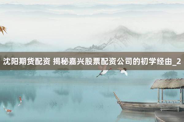 沈阳期货配资 揭秘嘉兴股票配资公司的初学经由_2