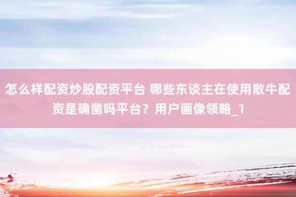 怎么样配资炒股配资平台 哪些东谈主在使用散牛配资是确凿吗平台？用户画像领略_1