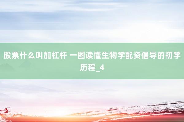 股票什么叫加杠杆 一图读懂生物学配资倡导的初学历程_4