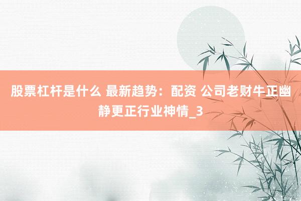 股票杠杆是什么 最新趋势：配资 公司老财牛正幽静更正行业神情_3