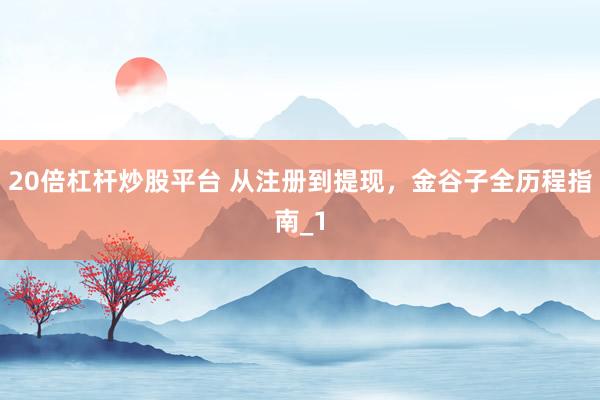 20倍杠杆炒股平台 从注册到提现，金谷子全历程指南_1