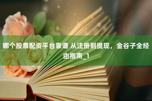 哪个股票配资平台靠谱 从注册到提现，金谷子全经由指南_1