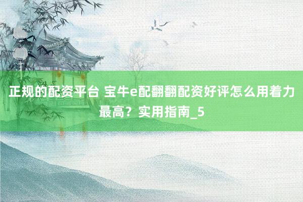 正规的配资平台 宝牛e配翻翻配资好评怎么用着力最高？实用指南_5