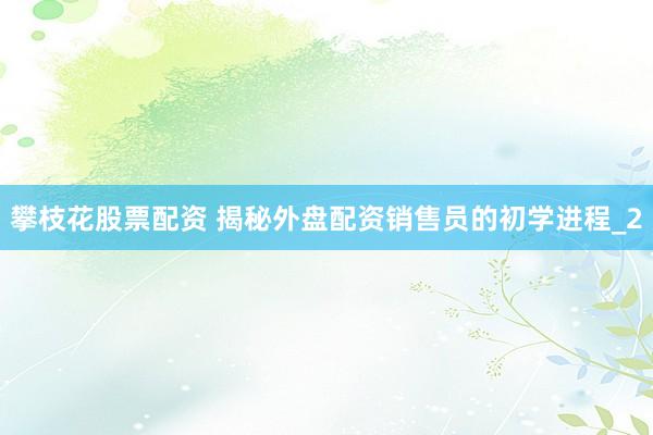 攀枝花股票配资 揭秘外盘配资销售员的初学进程_2
