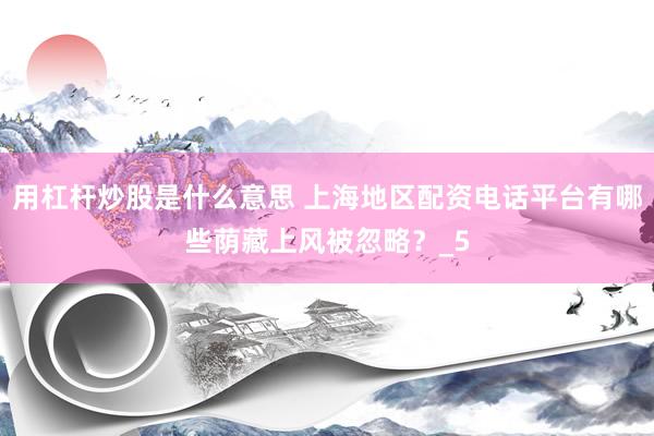 用杠杆炒股是什么意思 上海地区配资电话平台有哪些荫藏上风被忽略？_5