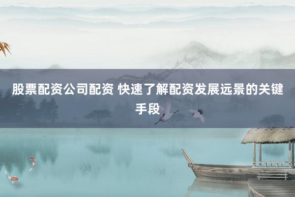 股票配资公司配资 快速了解配资发展远景的关键手段