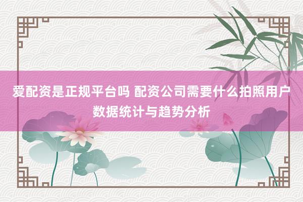爱配资是正规平台吗 配资公司需要什么拍照用户数据统计与趋势分析